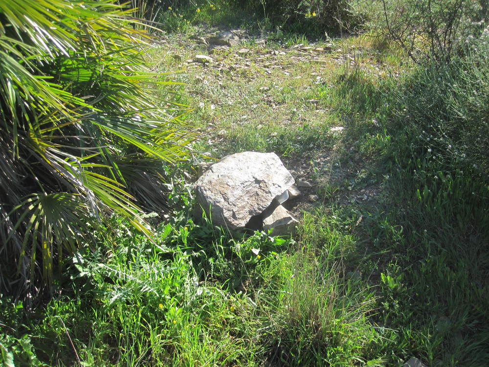 Second geocache location<br /><a href=photo12.kml>See on Google Earth</a><br /><br />