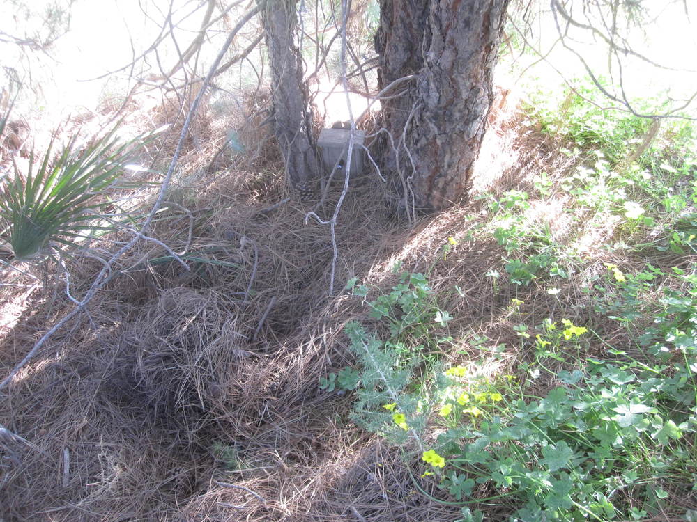 Third geocache location<br /><a href=photo20.kml>See on Google Earth</a><br /><br />
